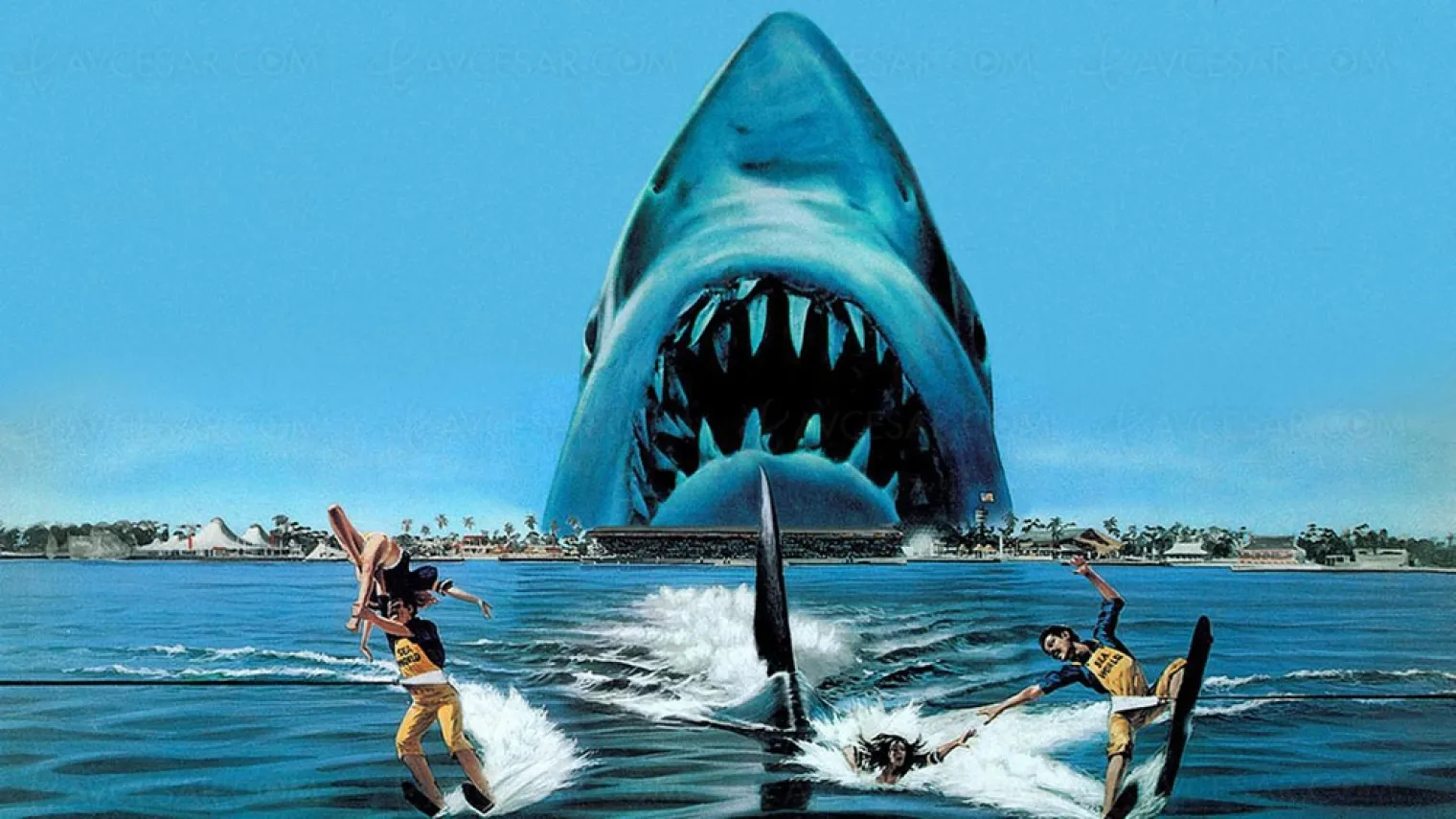 un-remake-des-dents-de-la-mer-par-le-realisateur-du-film-a