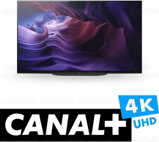 MyCanal Ultra HD 4K sur 6 séries Smart TV Sony 2019 et 100% des Smart TV Sony 2020