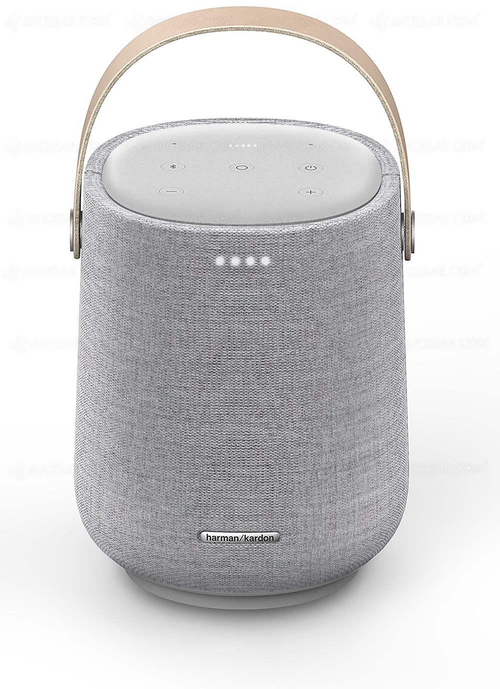 Ces Harman Kardon Citation 0 Enceinte Reseau Multiroom Portable