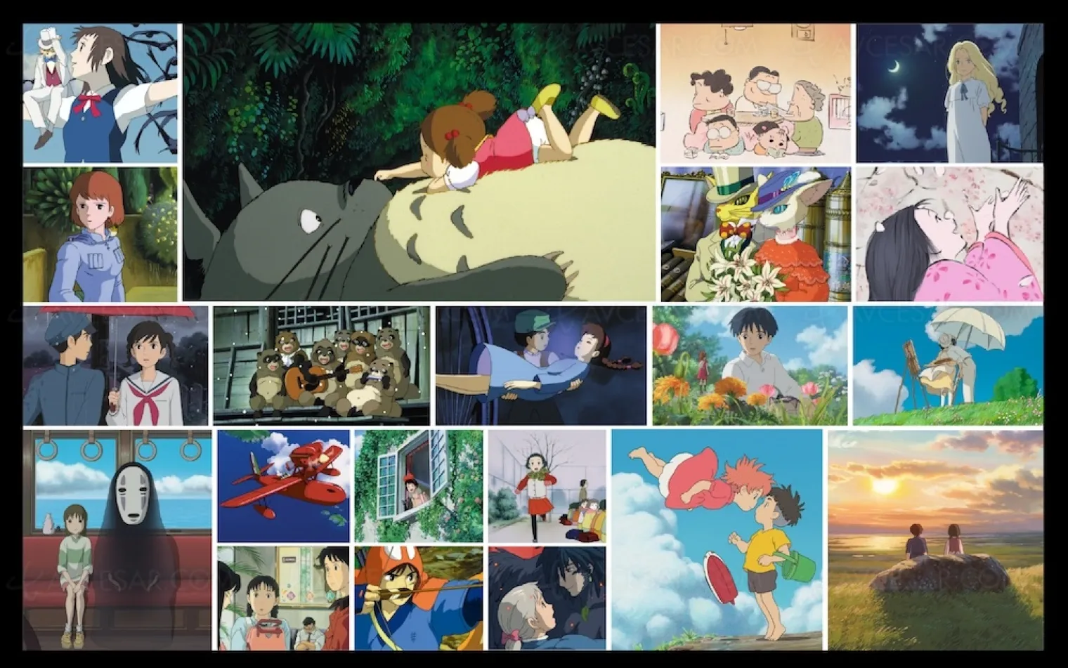 totoro-mononoke-chihiro-et-tout-ghibli-sur-netflix