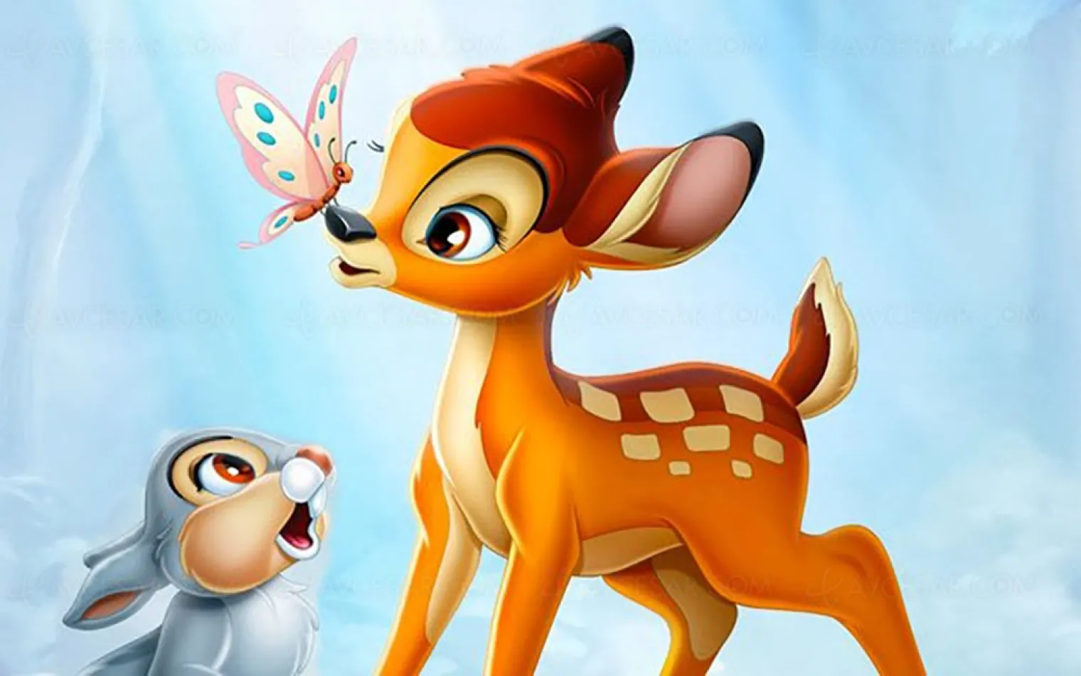 disney-prepare-bambi-live