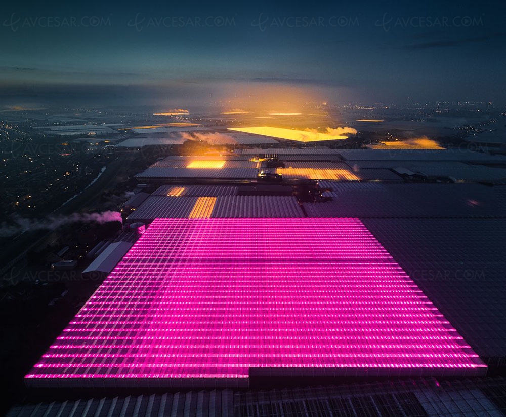Vue aérienne futuriste aux Pays‑Bas, découvrez la patate&nbsp;illuminée