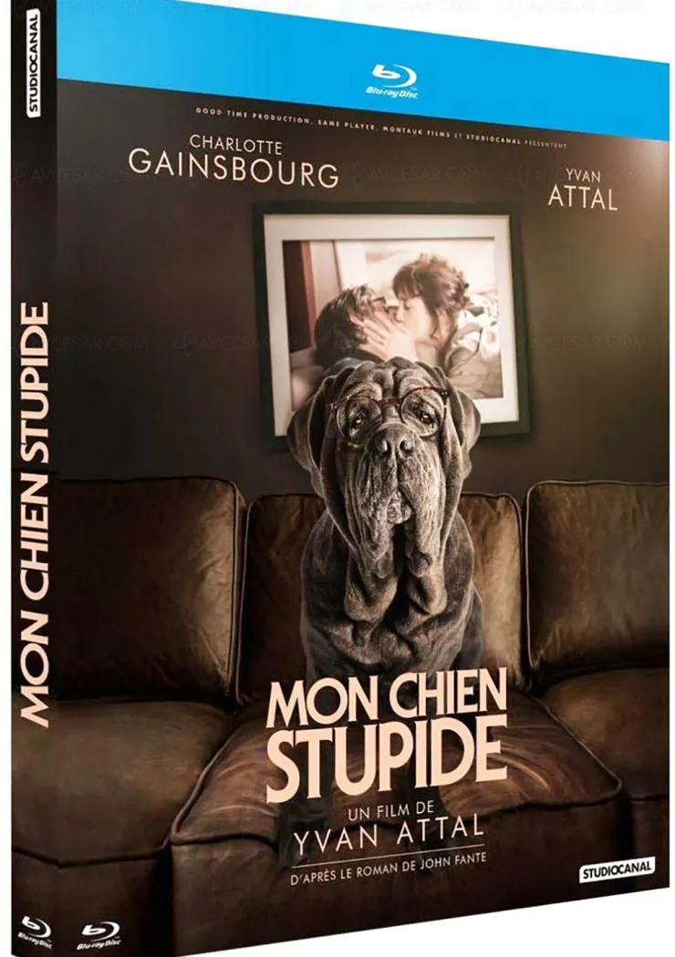 mon-chien-stupide-yvan-attal-adapte-le-roman-posthume-de-john-fante