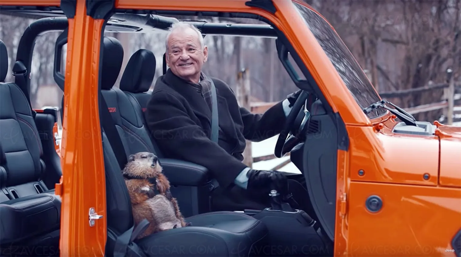 bill-murray-refait-un-jour-sans-fin-pour-le-super-bowl-le-vrai-jour-de-la-marmotte