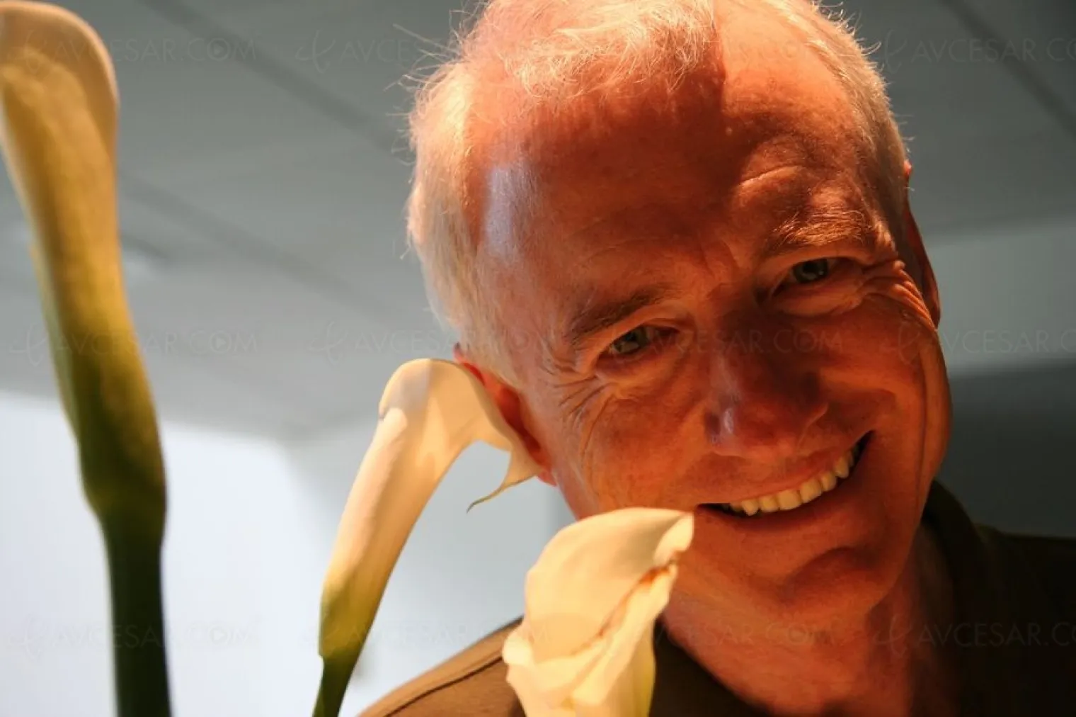 le-pere-du-copier-coller-nous-quitte