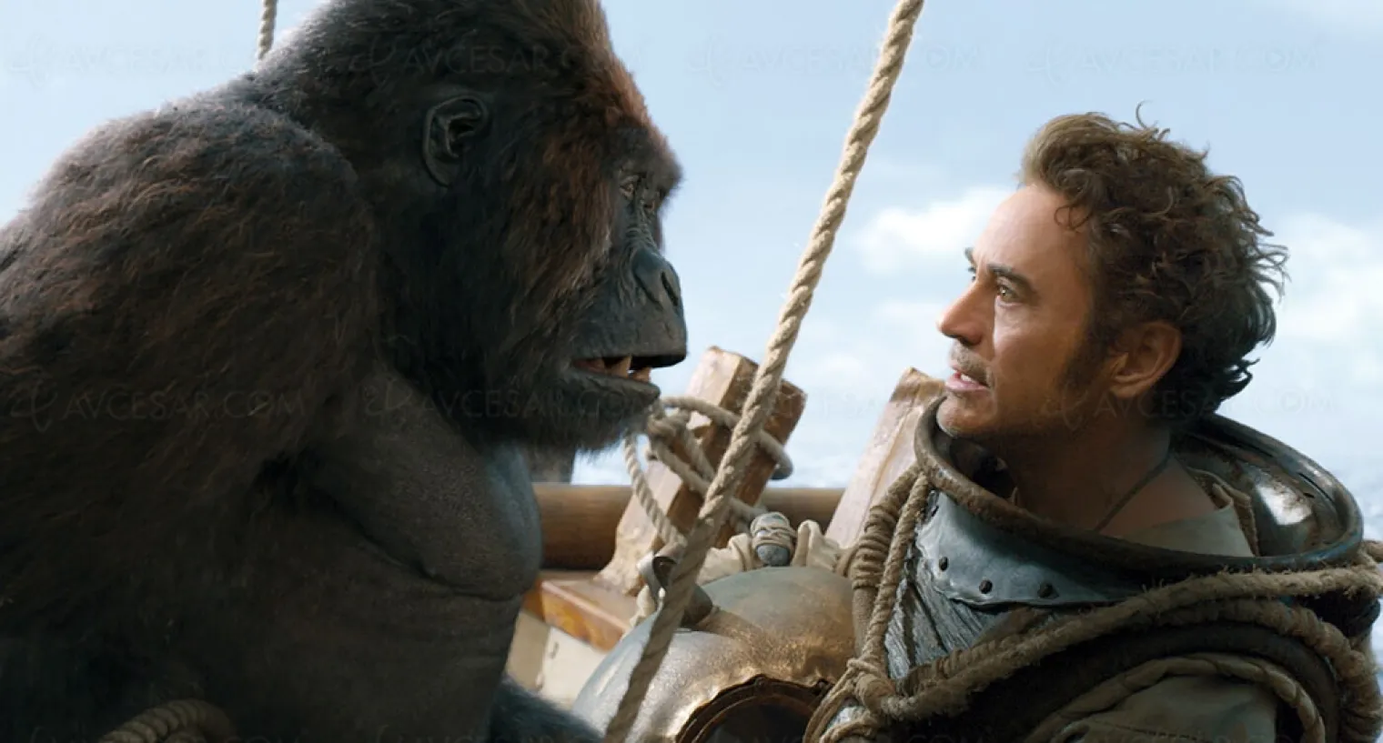 le-voyage-du-dr-dolittle-avec-robert-downey-jr-en-juin-en-4k-ultra-hd