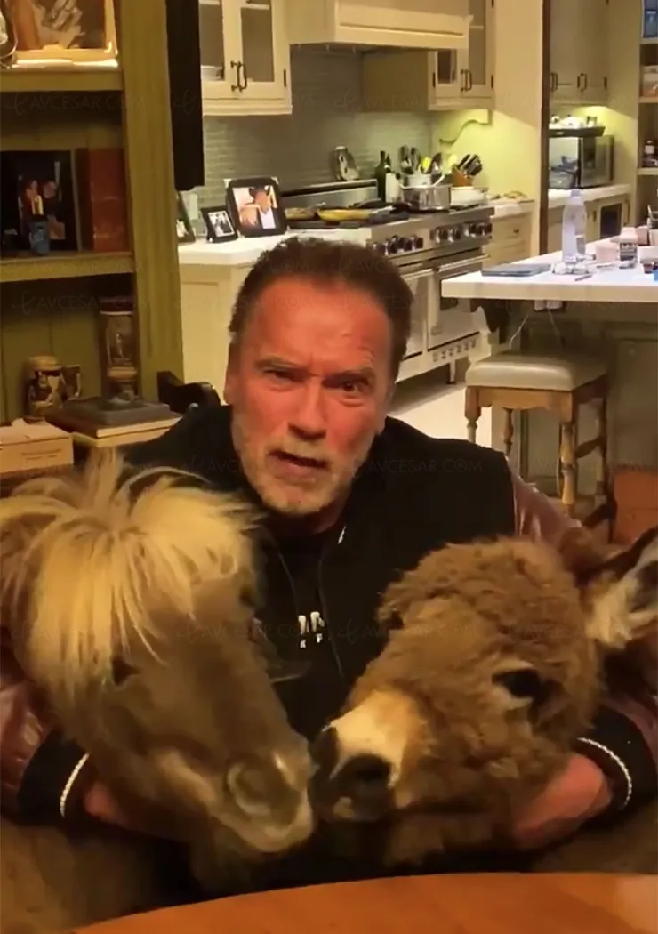 restez-a-la-maison-le-message-tres-special-d-arnold-schwarzenegger-video