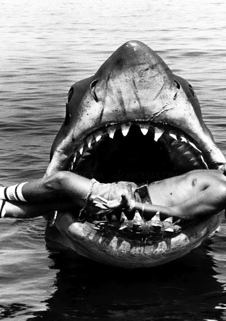 le-genial-making-of-des-dents-de-la-mer-va-devenir-une-comedie-musicale