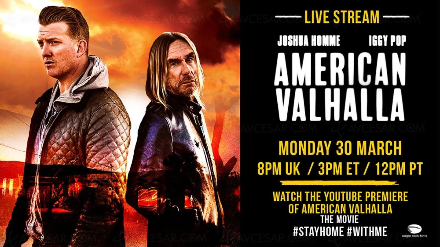 le-documentaire-american-valhalla-d-iggy-pop-en-streaming-sur-youtube-ce-soir