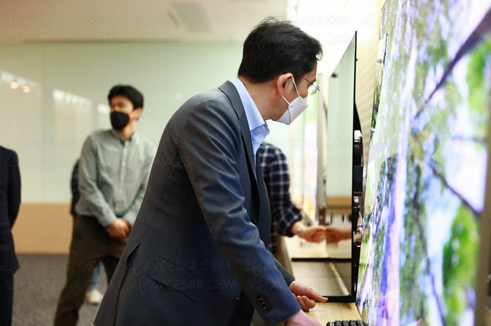 Samsung Display&nbsp;: arrêt du&nbsp;LCD fin&nbsp;2020 et focus sur les&nbsp;technologies QD&nbsp;Oled&nbsp;et&nbsp;QNED