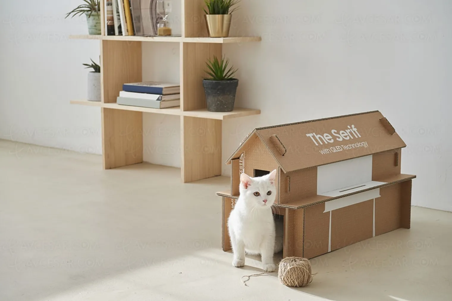 les-cartons-tv-samsung-the-sero-the-serif-et-the-frame-transformes-en-niches-pour-chat