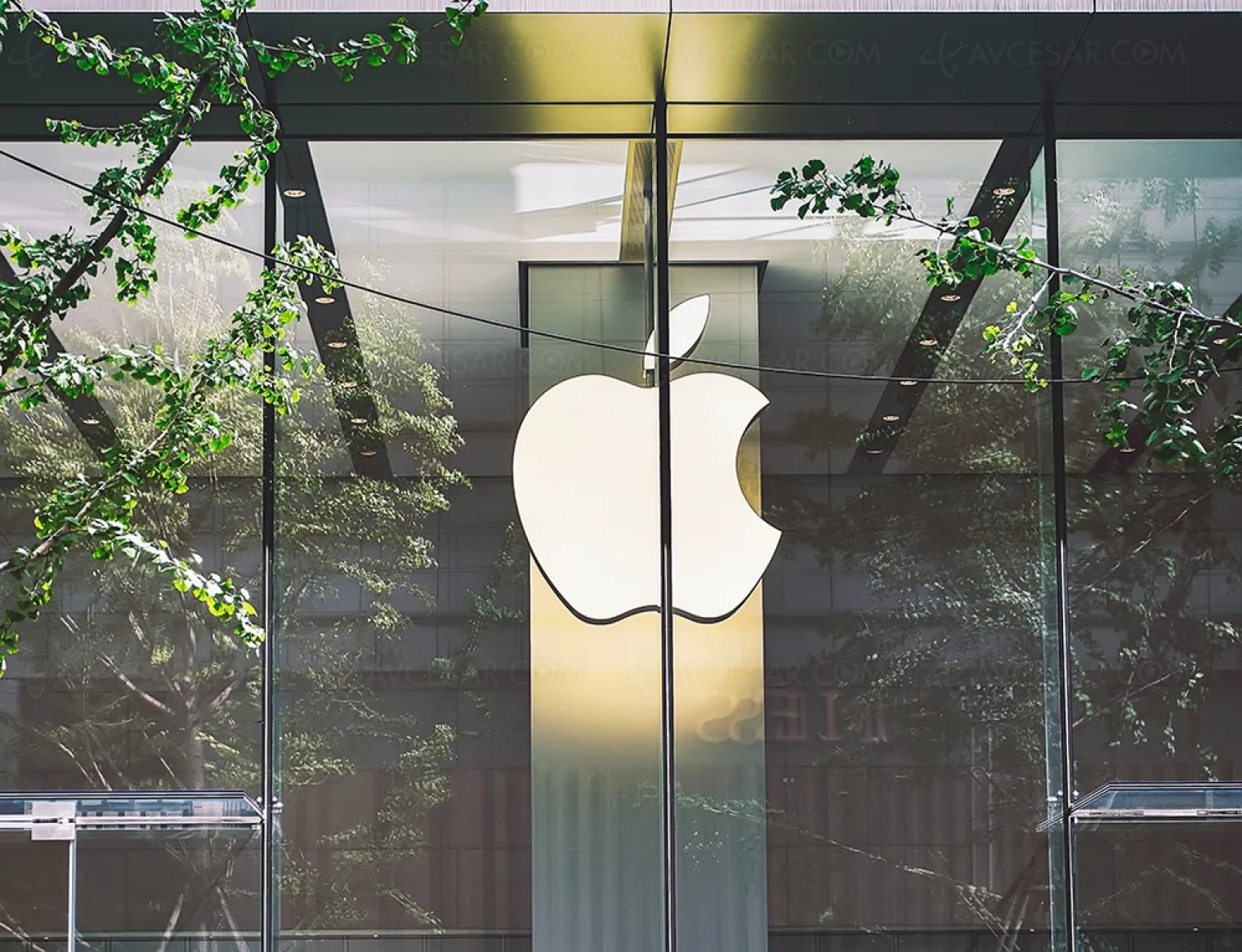 premier-trimestre-correct-pour-apple-malgre-l-epidemie-coronavirus