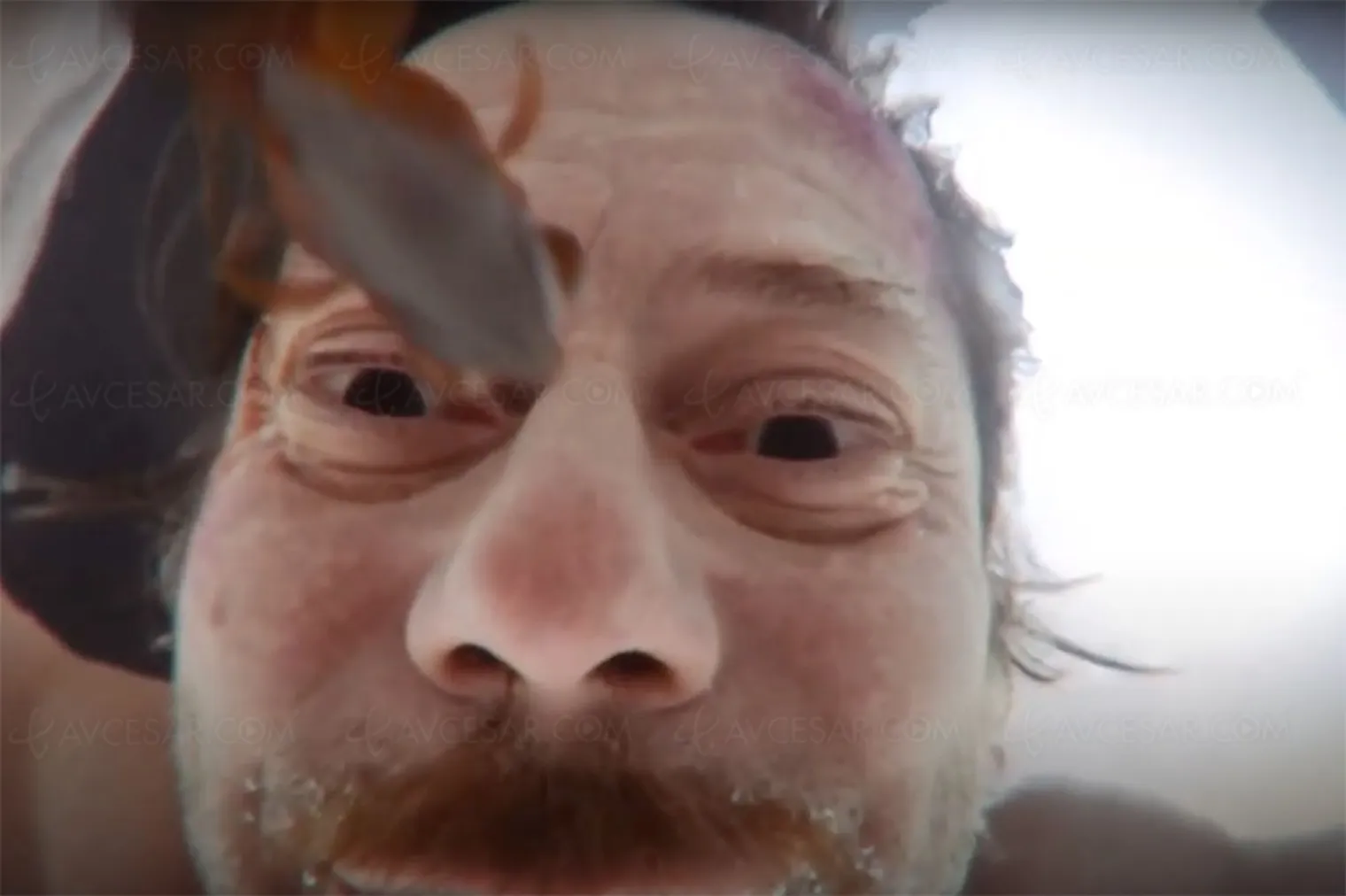 interview-mathieu-amalric-mini-serie-l-agent-immobilier-eddy-mitchell-une-experience