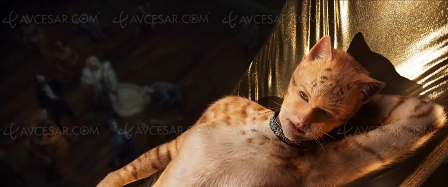 cats-de-broadway-au-grand-ecran-la-comedie-musicale-cats-revisitee-par-tom-hooper
