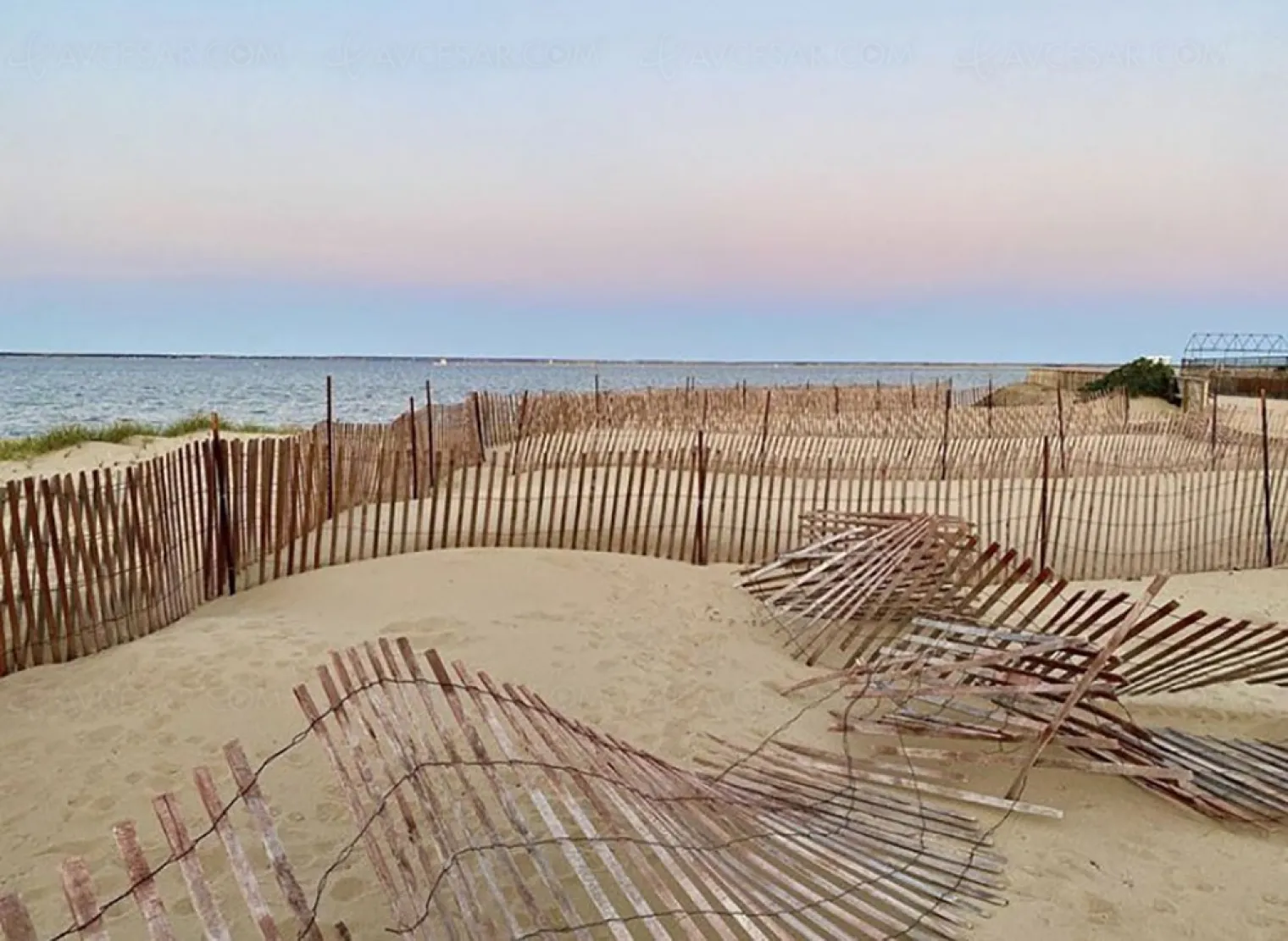 un-hommage-aux-dents-de-la-mer-pour-ahs-saison-10-photo