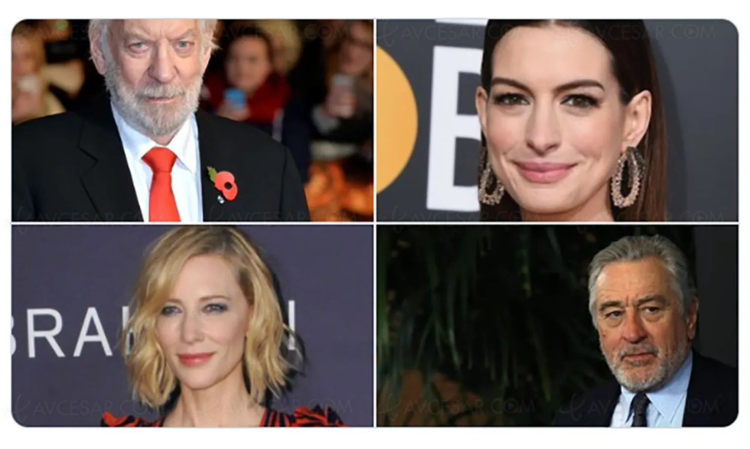 le-casting-d-armageddon-time-de-james-gray-fait-deja-rever