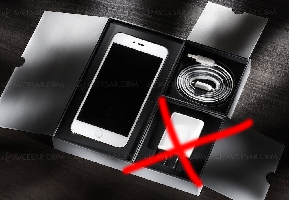 Disparition du chargeur iPhone&nbsp;12&nbsp;: Apple sonde ses clients&nbsp;en&nbsp;amont