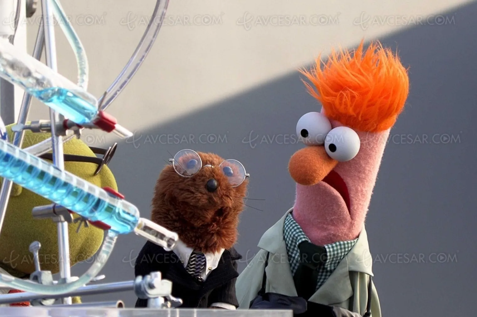 nouveau-muppet-show-kermit-arrive-cet-ete-sur-disney