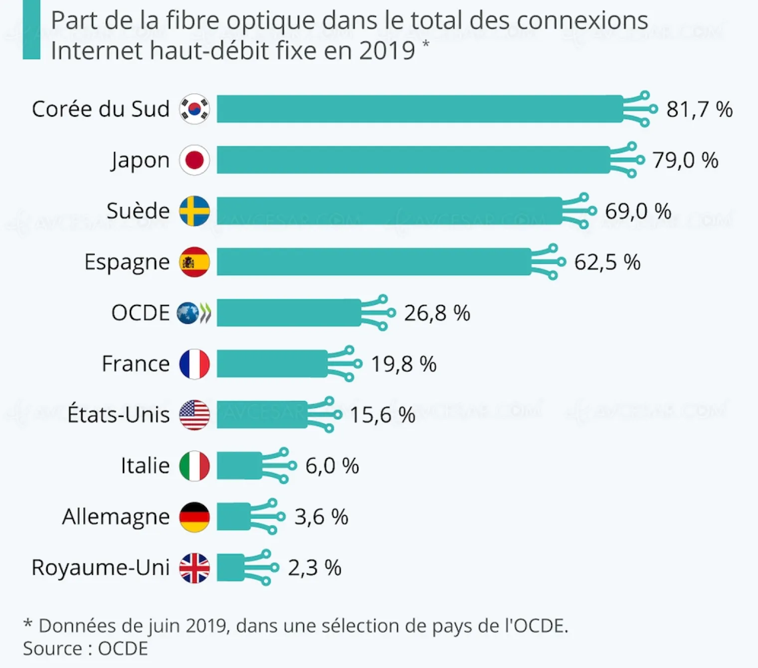 internet-par-fibre-optique-quels-pays-sont-les-mieux-equipes