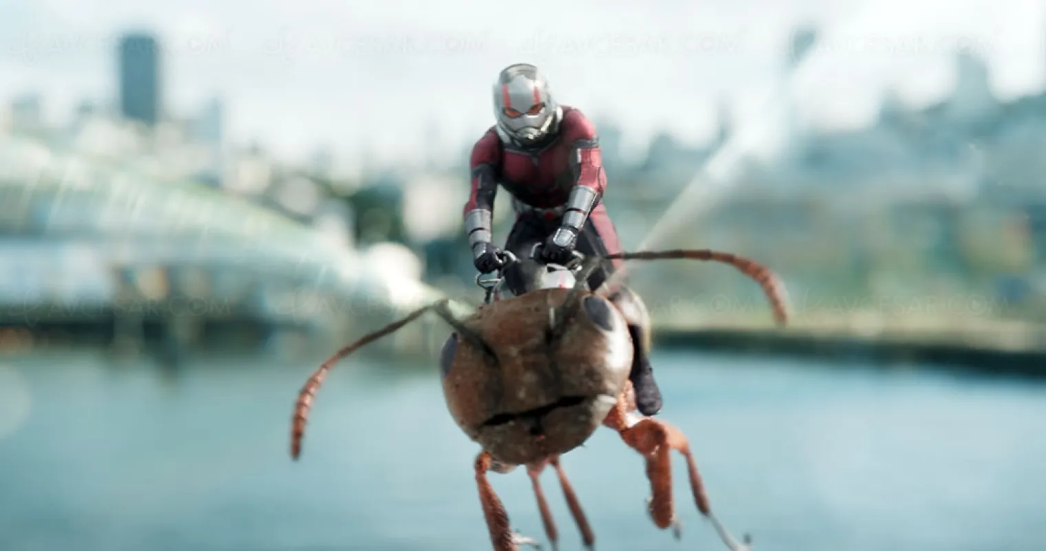 ant-man-3-on-propose-le-moustique-trop-rarement-represente-au-cinema