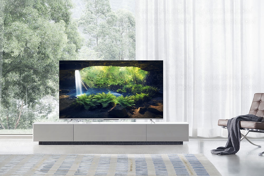 TV LED Ultra HD 4K TCL&nbsp;P71, cinq modèles HDR et&nbsp;Android&nbsp;9.0