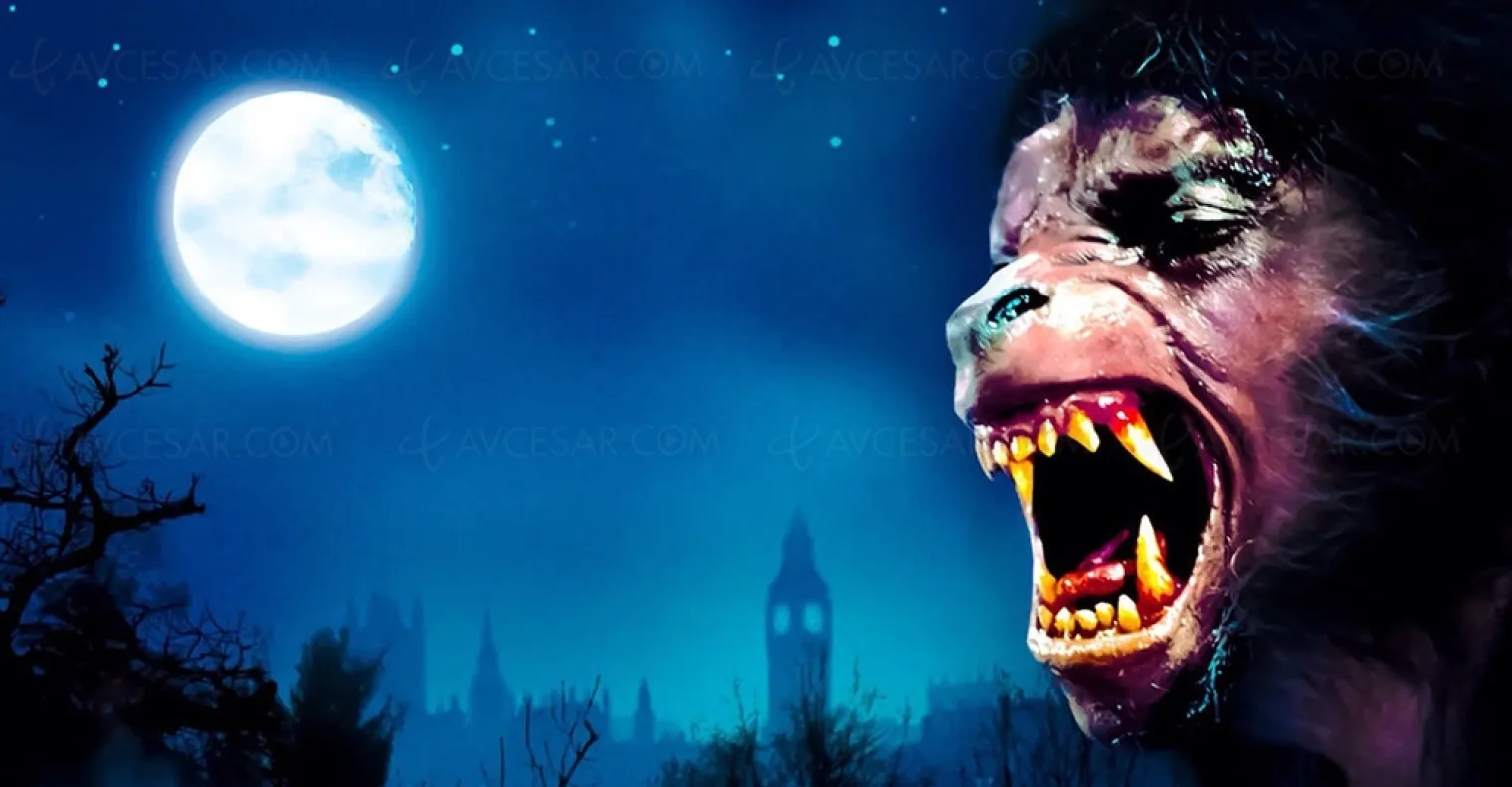 le-loup-garou-de-londres-sort-du-bois-en-4k-ultra-hd