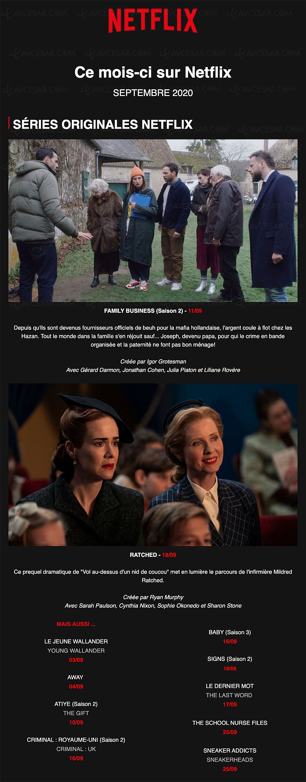 Quoi de neuf sur Netflix en&nbsp;septembre&nbsp;? Stranger&nbsp;Holmes&nbsp;?