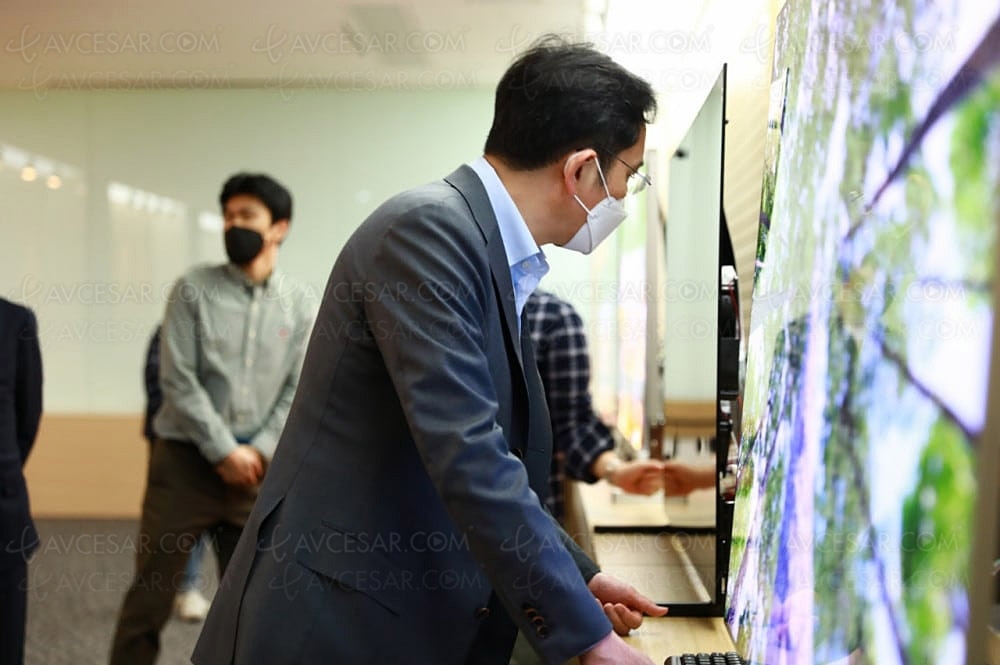 Panneaux TV QD&nbsp;Oled Samsung&nbsp;Display à l'étude chez&nbsp;Panasonic et&nbsp;Sony