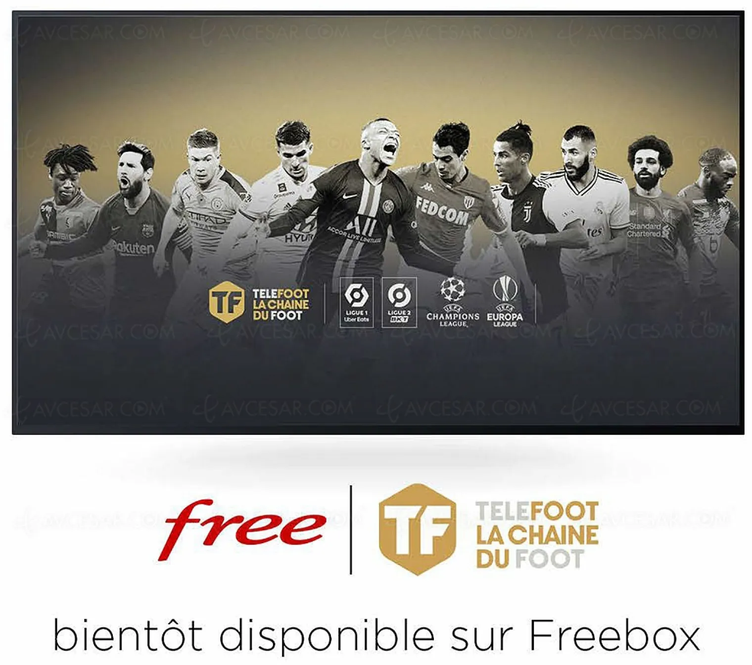chaine-telefoot-ligue-1-2-uefa-champions-league-et-europa-league-sur-freebox