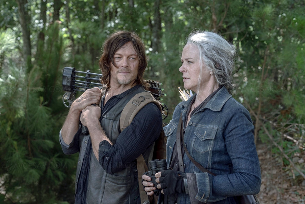 Suite et fin de The Walking Dead, série&nbsp;increvable