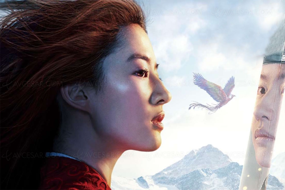 Disney+ en décembre, Soul, Mulan, Cars&nbsp;3, Star Wars les derniers Jedi… tombent les films&nbsp;de&nbsp;Noël