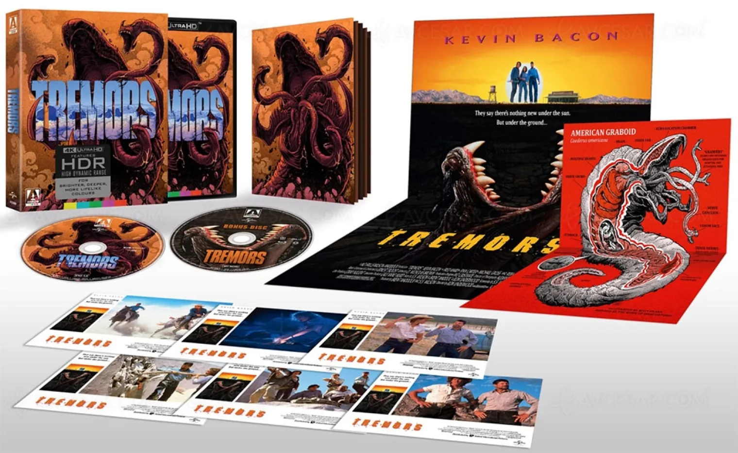 dition-completement-delirante-et-4k-ultra-hd-de-tremors-avec-kevin-bacon