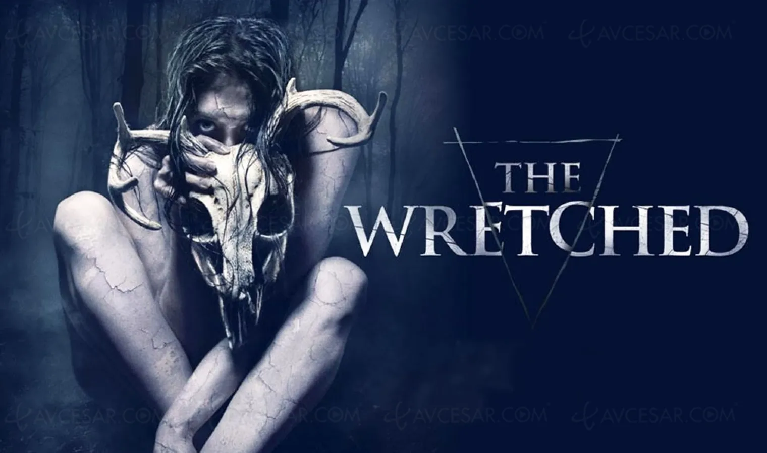 the-wretched-le-film-d-horreur-phenomene-bientot-disponible-chez-koba-films