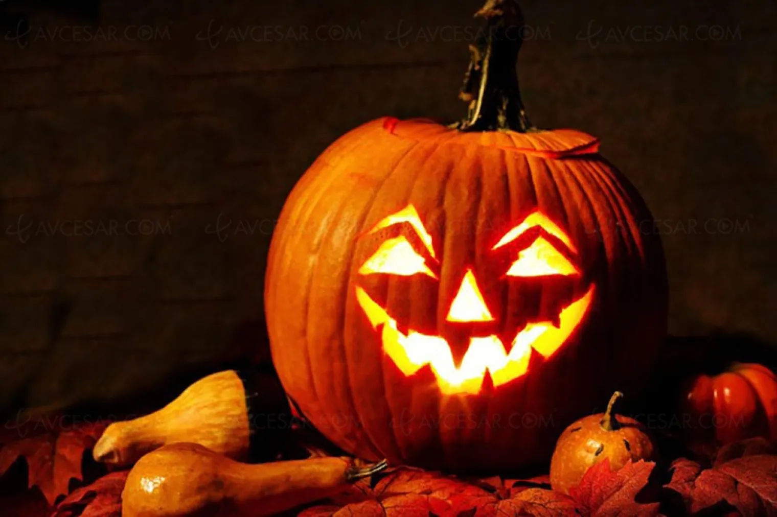 et-le-film-ideal-de-quentin-tarantino-pour-halloween-est