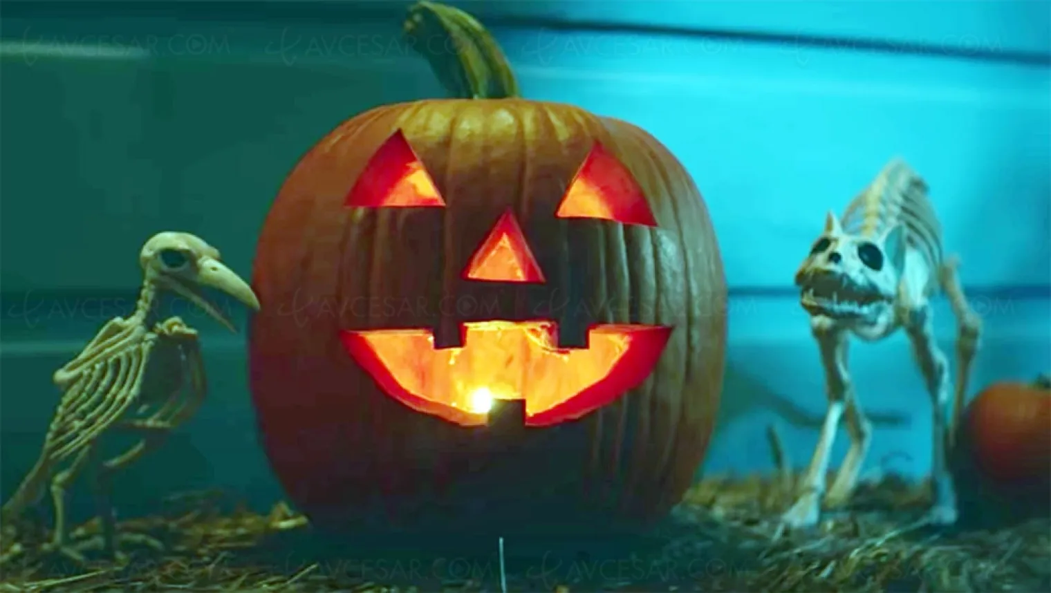 decouvrez-la-bande-annonce-de-halloween-kills-avec-jamie-lee-curtis-reporte-a-2021