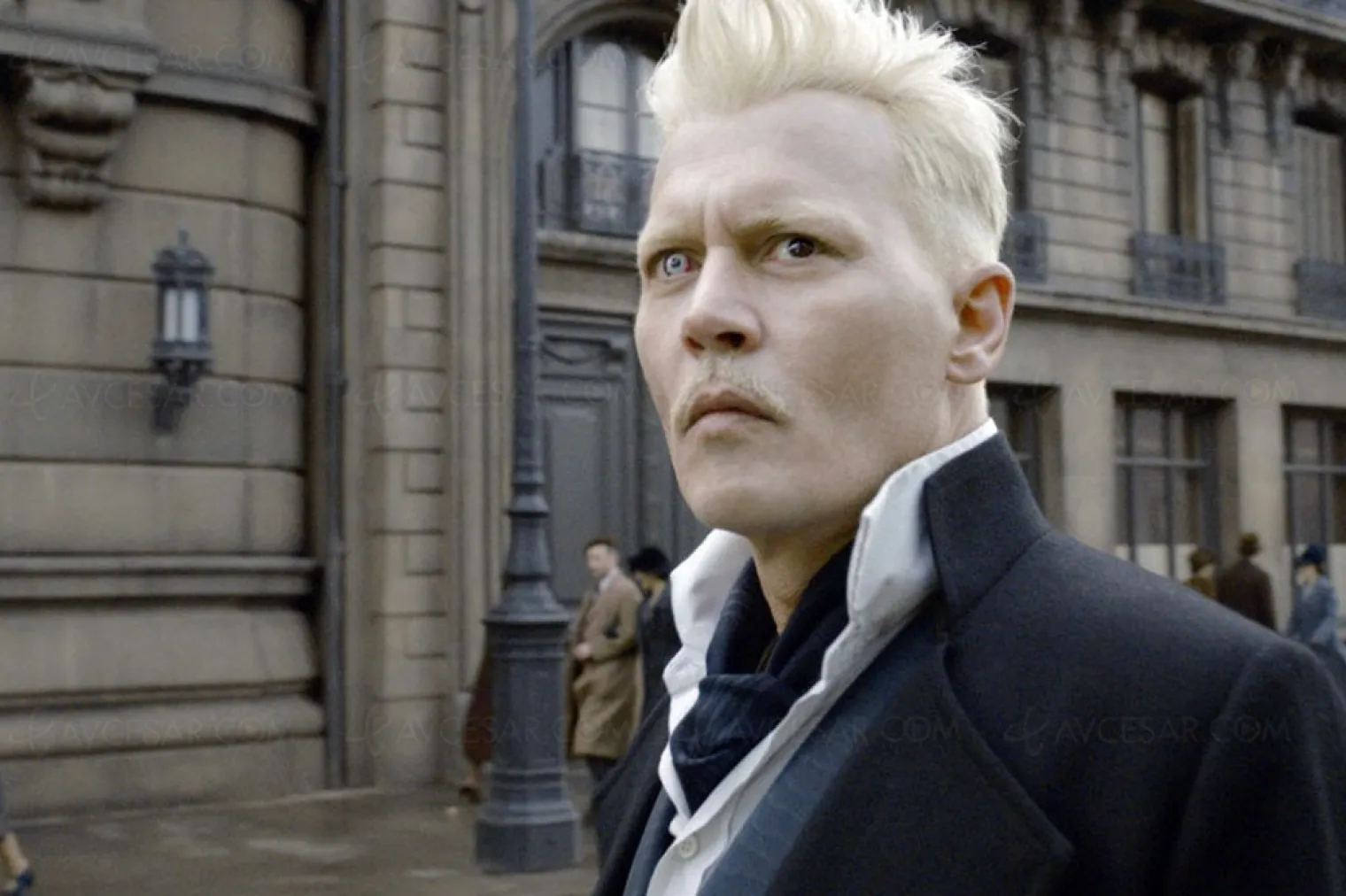 mads-mikkelsen-remplace-johnny-depp-dans-les-animaux-fantastiques-3
