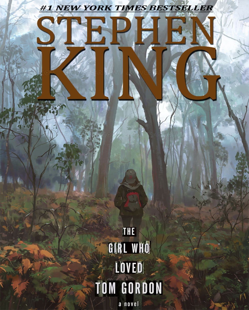 Le roman de Stephen King, La petite fille qui aimait Tom Gordon, va être adapté en&nbsp;film