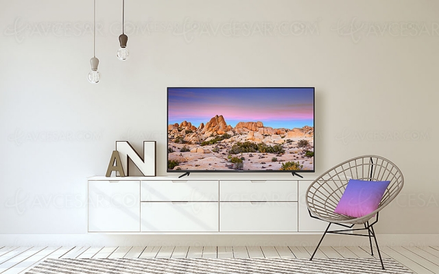 TV LED Ultra HD 4K Thomson UG6400 : quatre modèles Android TV 9.0