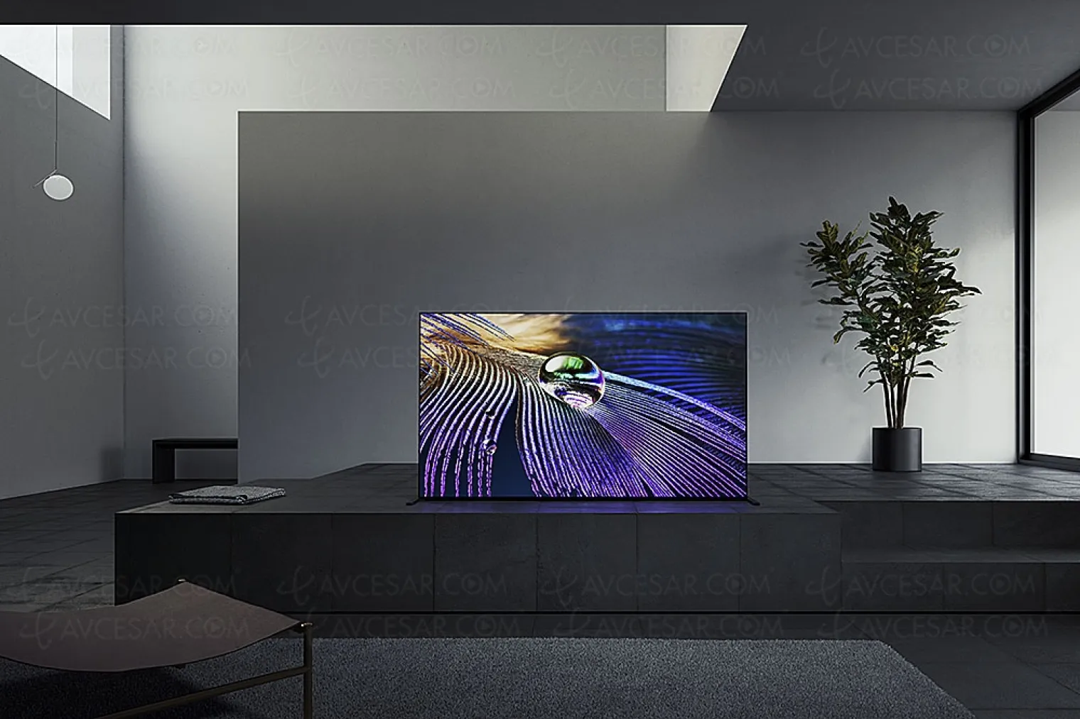 ces-21-tv-oled-ultra-hd-4k-sony-a90j-master-series-55-65-83-et-xr-cognitive-processor-hdmi-2-1