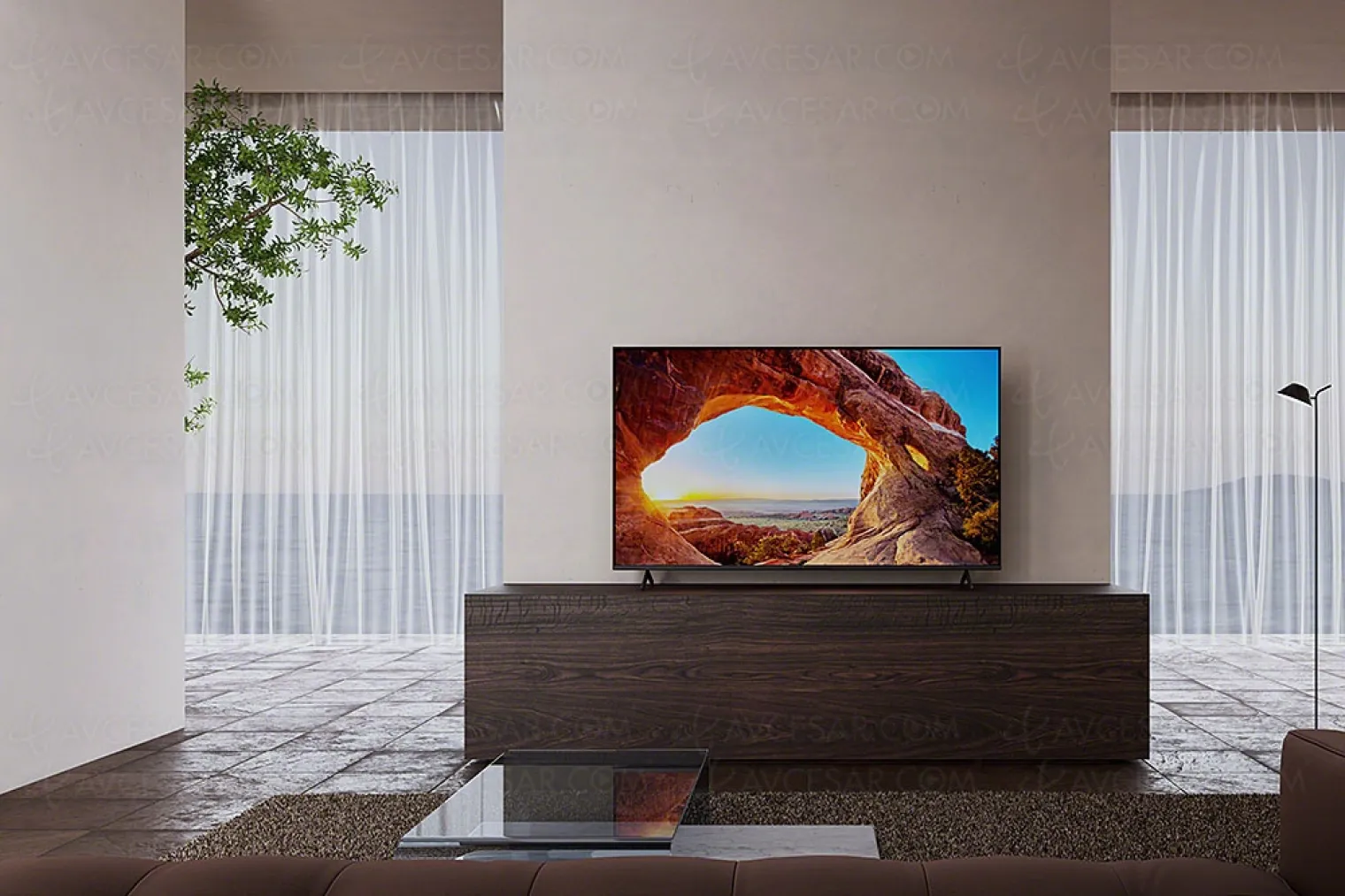 ces-21-tv-led-ultra-hd-4k-sony-x85j-43-50-55-65-75-et-85-google-tv-hdmi-2-1