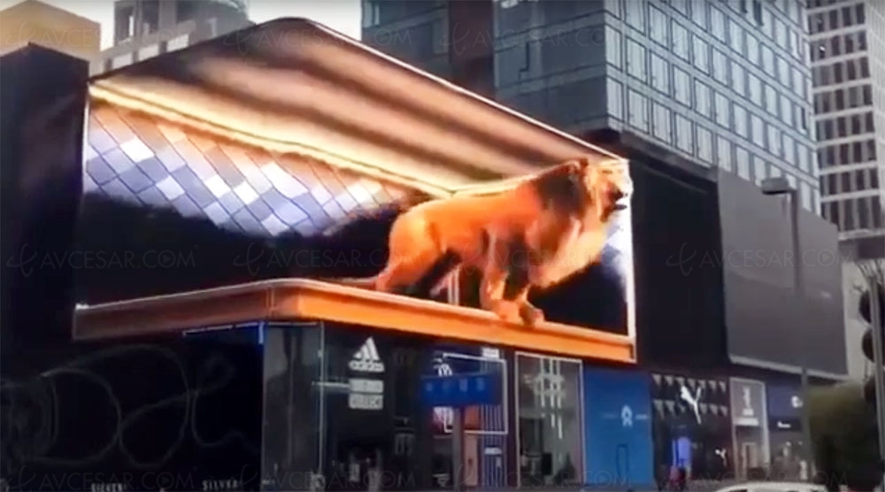 Illusion&nbsp;3D plus mordante que nature&nbsp;: les passants crient&nbsp;de&nbsp;peur&nbsp;!