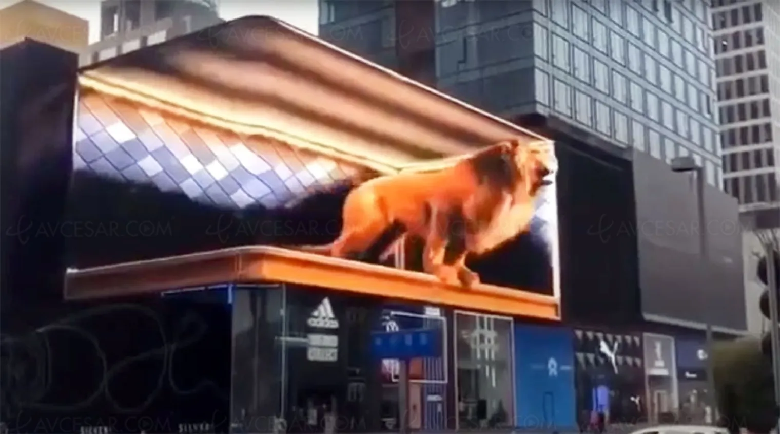 illusion-3d-plus-mordante-que-nature-les-passants-crient-de-peur
