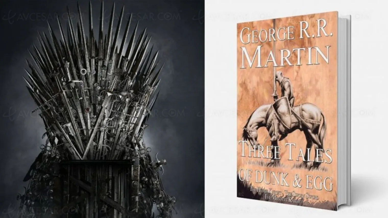 les-contes-de-dunk-et-egg-nouvelle-serie-derivee-de-games-of-thrones-pour-hbo