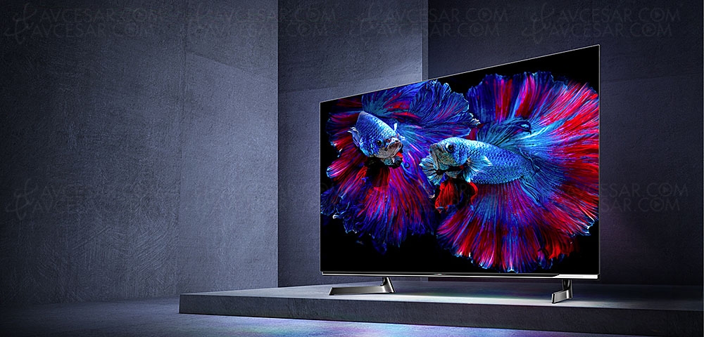 TV Oled Hisense X8F, 48'' et&nbsp;55'' annoncés&nbsp;au&nbsp;Japon