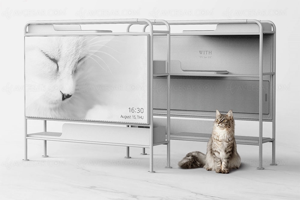 Le Meuble Tv Devient Enfin Un Arbre A Chats Design Et Pratique Le Meuble Tv Devient Enfin Un Arbre A Chats Design Et Pratique