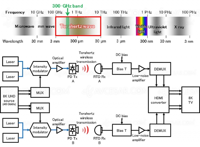 6G, vidéo 8K non compressée transférée en labo