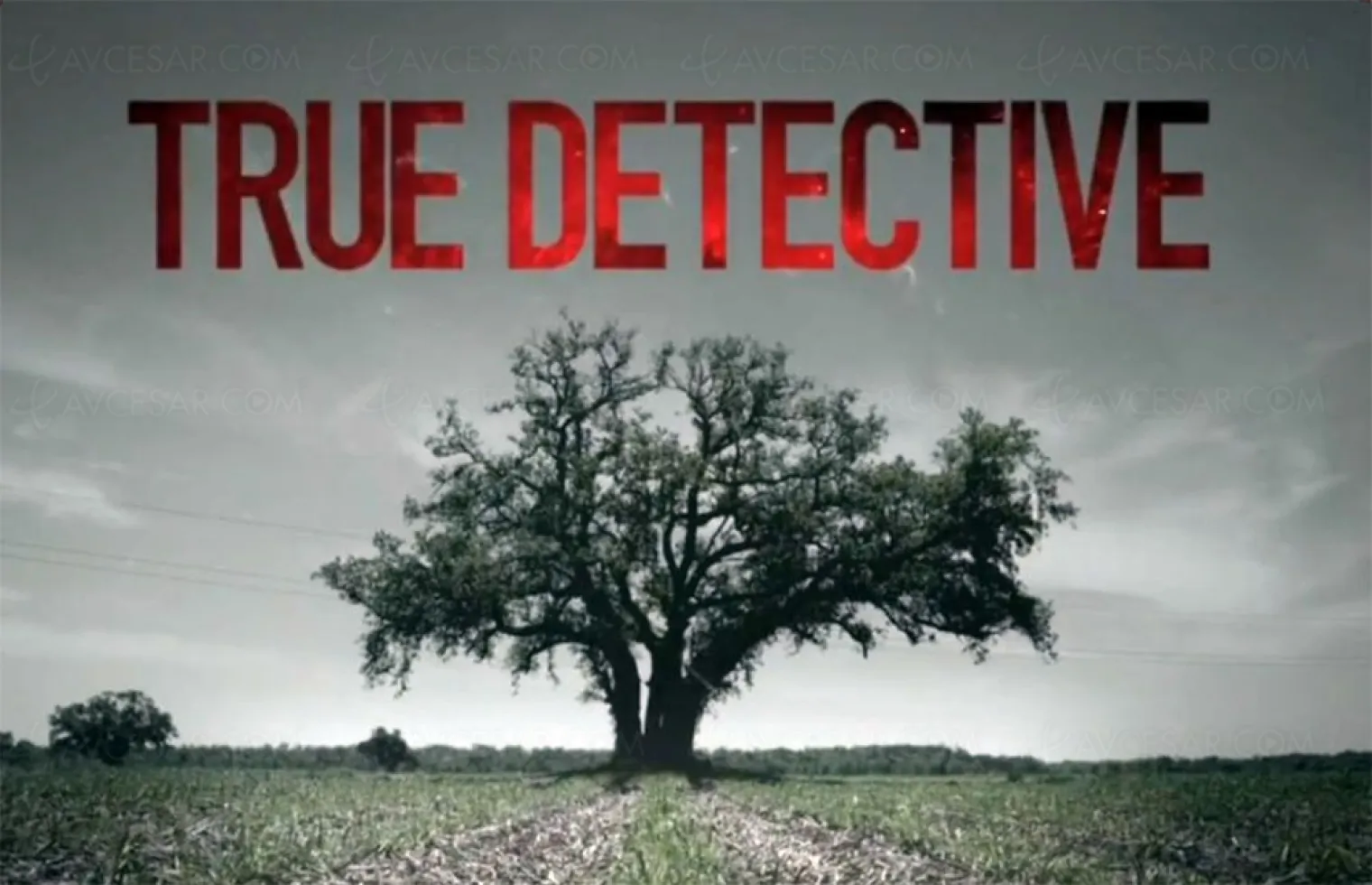 true-detective-saison-4-oui-mais