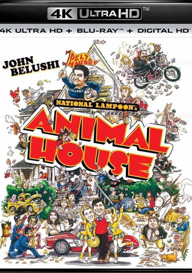 american-college-la-comedie-potache-avec-john-belushi-en-4k-ultra-hd