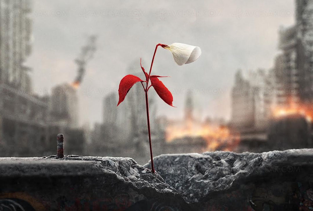 https://www.avcesar.com/source/actualites/00/00/82/55/the-handmaids-tale-la-saison-4-le-29-avril-sur-ocs-en-us-24_03100711.jpg