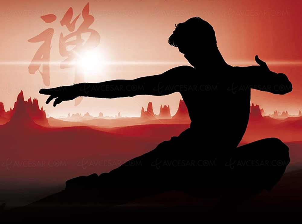 La flûte silencieuse de Bruce Lee va devenir&nbsp;une&nbsp;série